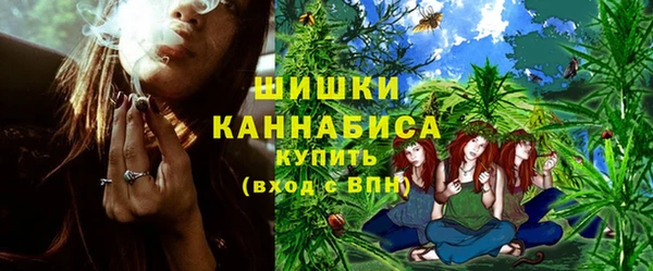сатива Ладушкин