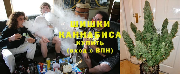 сатива Ладушкин