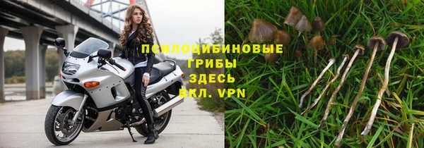 мяу мяу мука Лагань