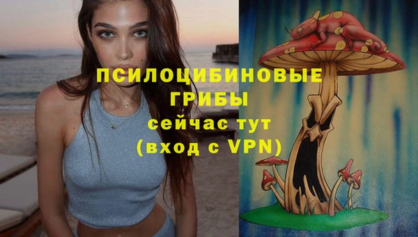 мяу мяу мука Лагань