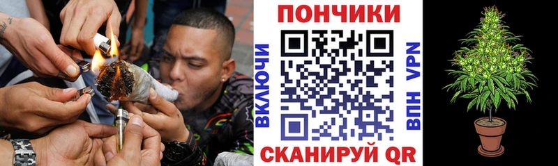 Канабис тримм  Купить где  Нижний Тагил 